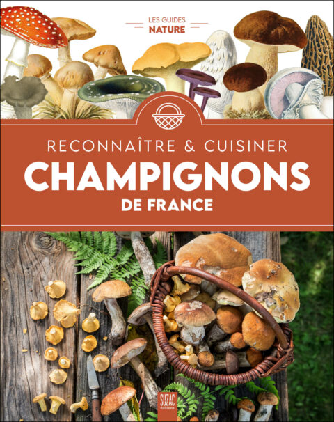 Champignons de France, l’encyclo nature